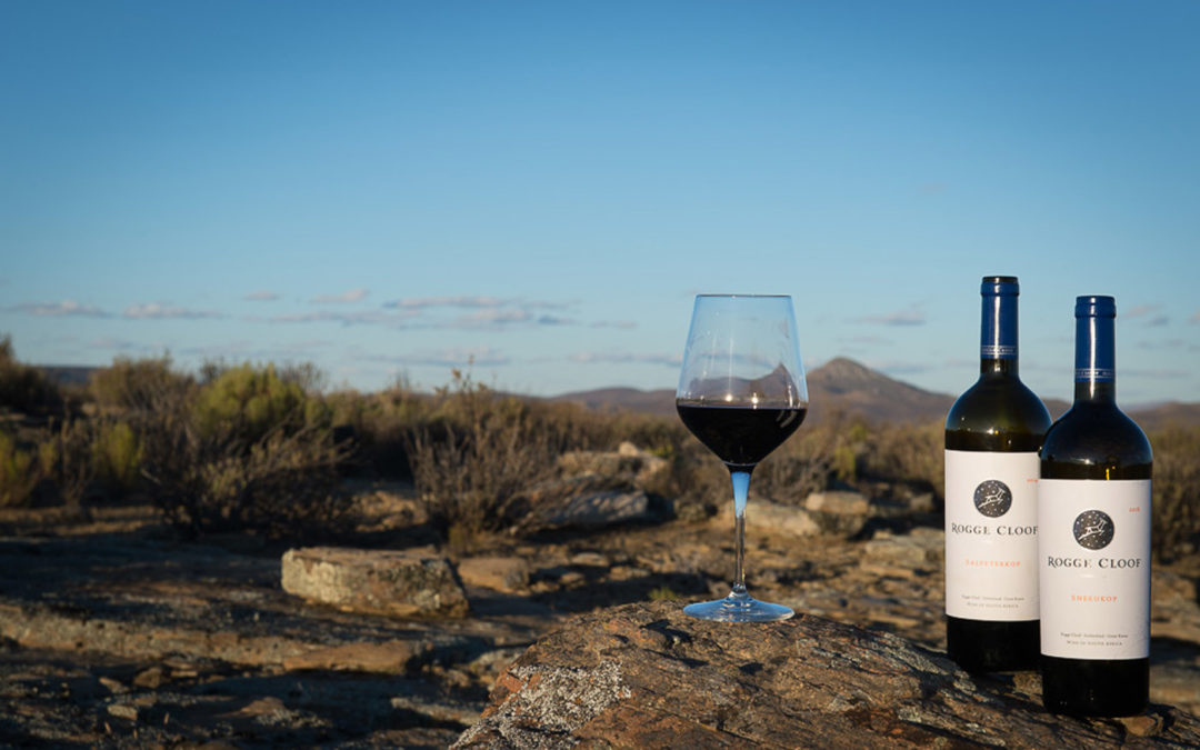 Winestruck | Terroir gems #1